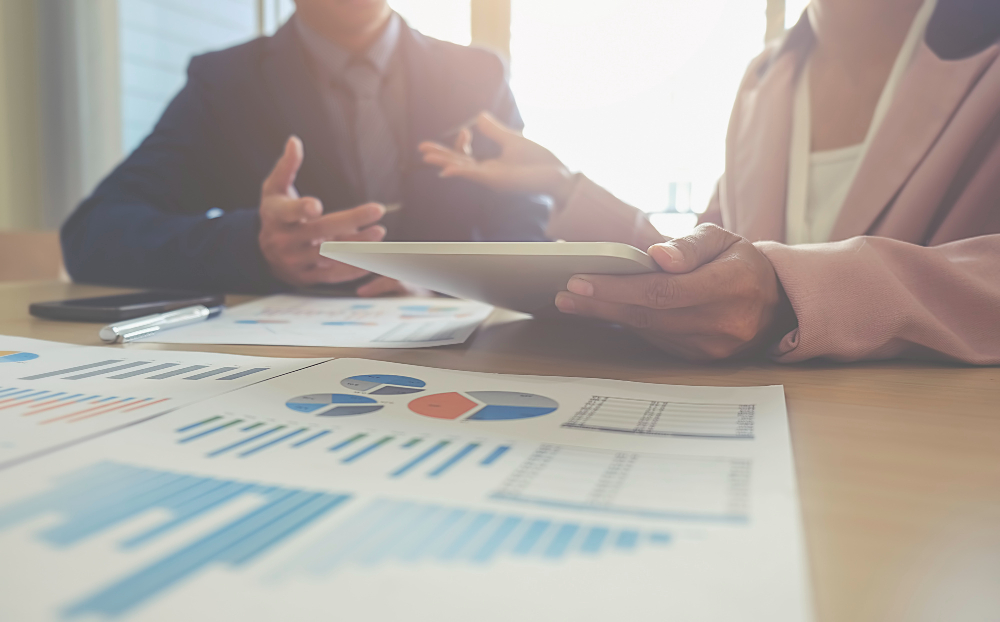 Fractional sales consulting by Success Vitamin